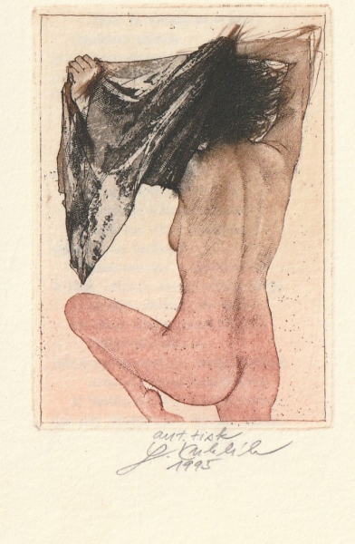 db 1137 3