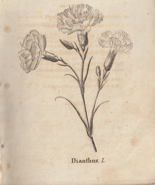 db 890 3