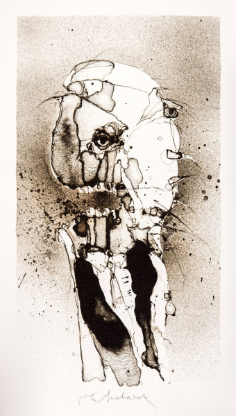 db 392 1
