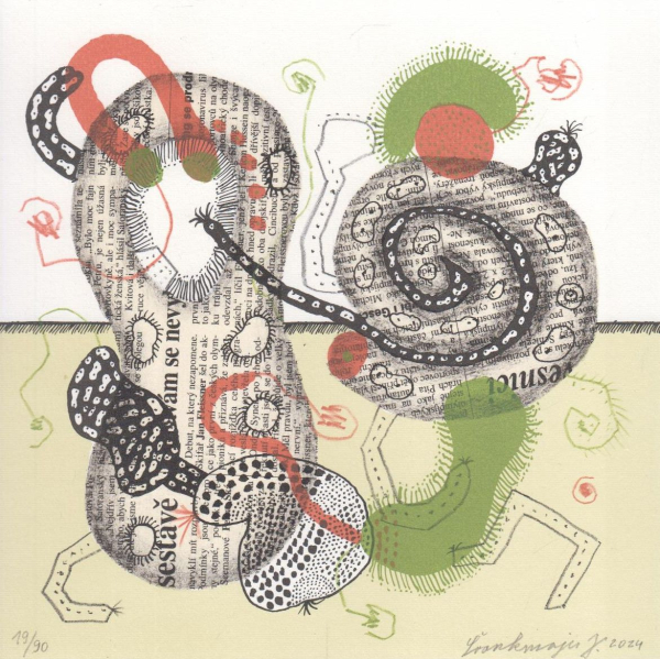 švankmajer   grafika