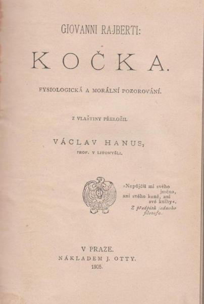 kočka