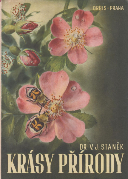 krásypřírody