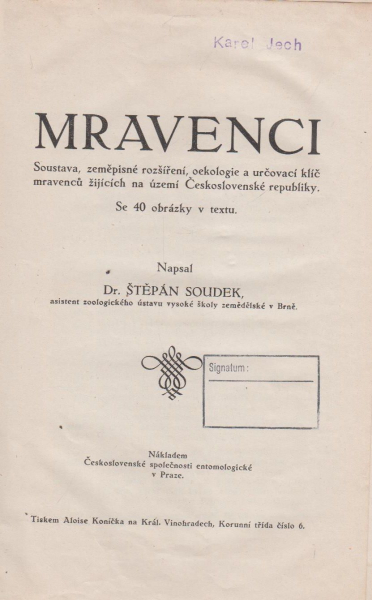 mravenci