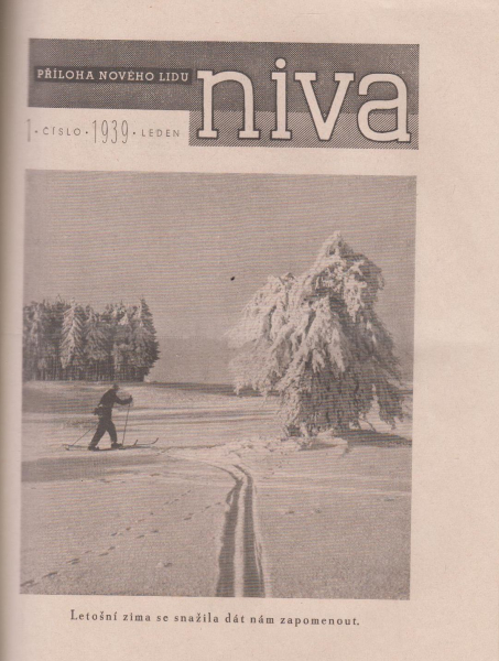niva39